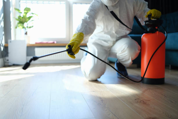 Reliable Odor Removal contractor in Annandale, NJ by Trauma Clean Pros